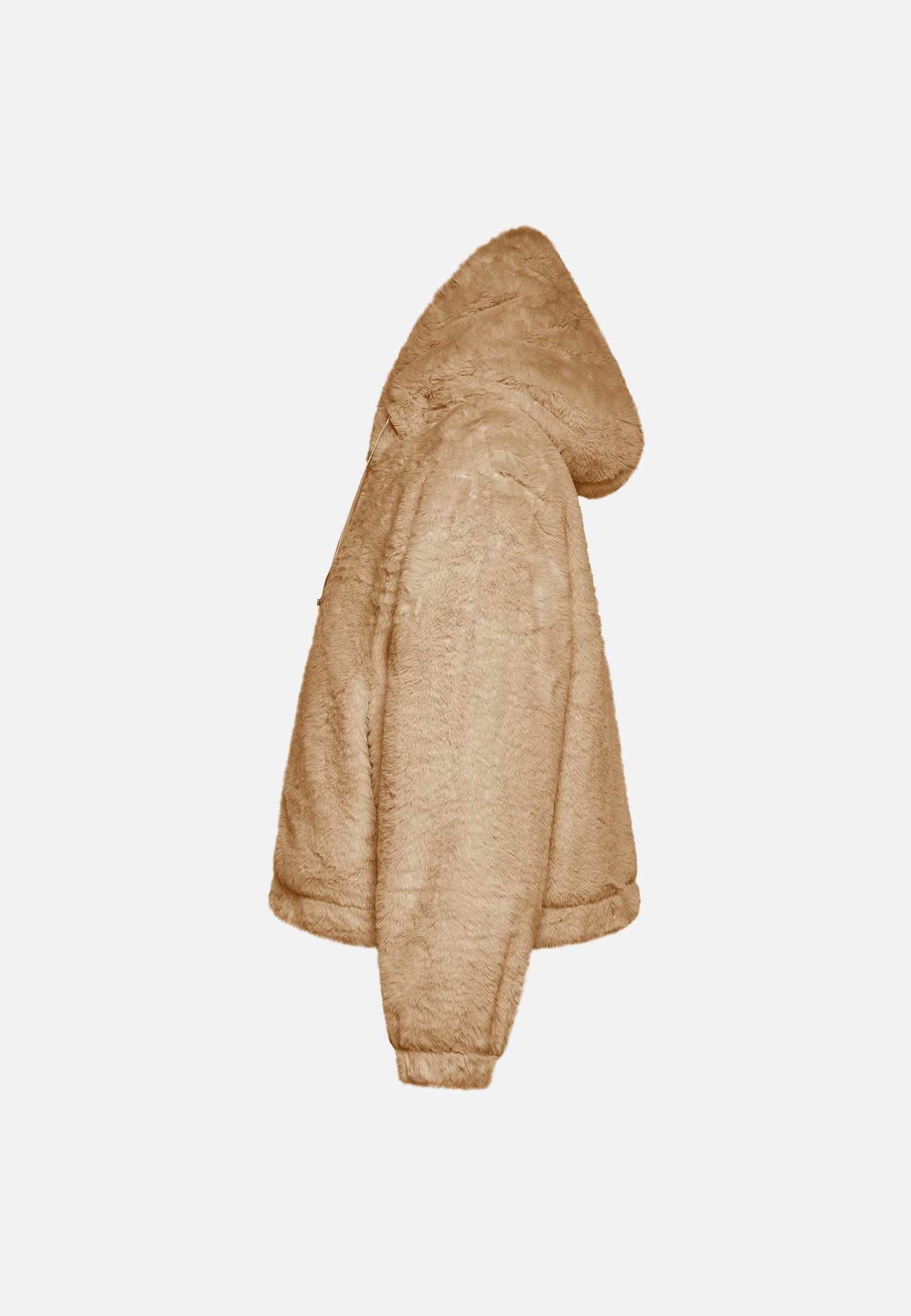 Camel